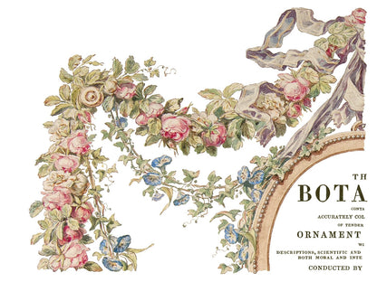 The Botanist Transfer IOD New Summer Collection Release 2023 Pickin' Boots Vintage